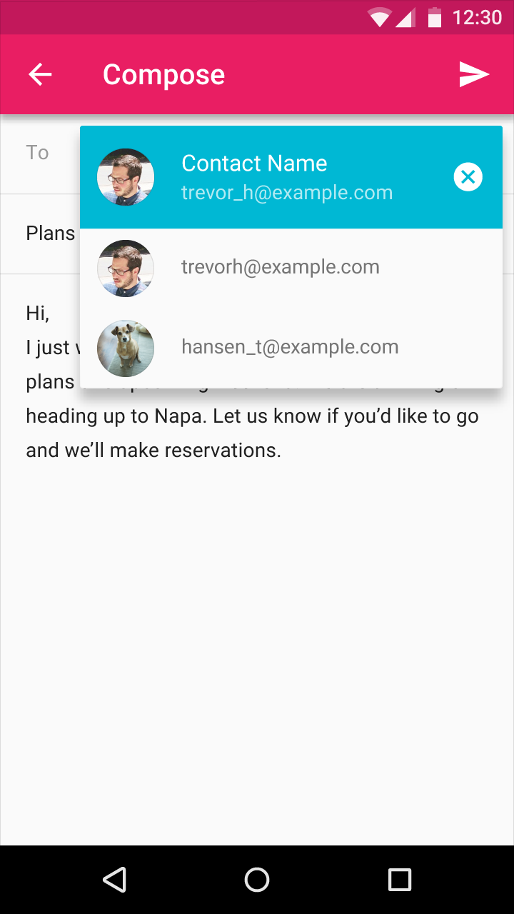 用户在 Material Design 联系人标签上确认邮件地址
