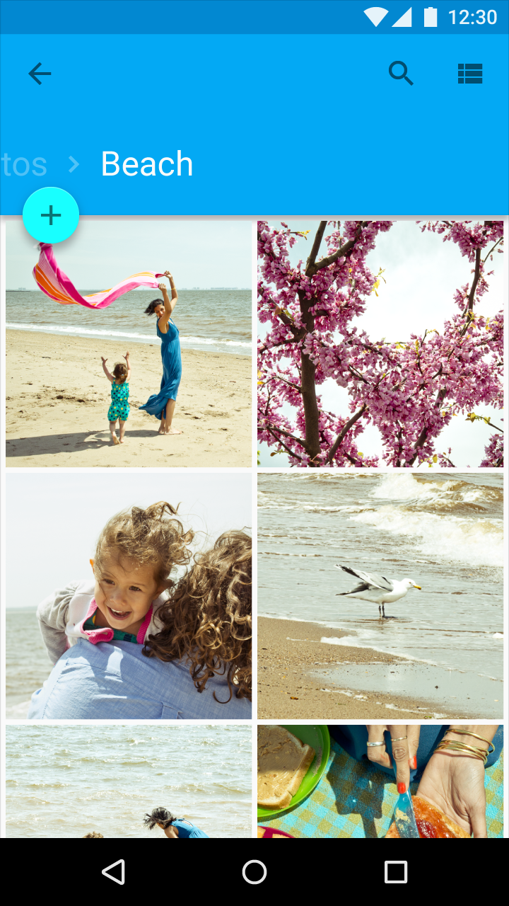 Material Design image-only grid list album