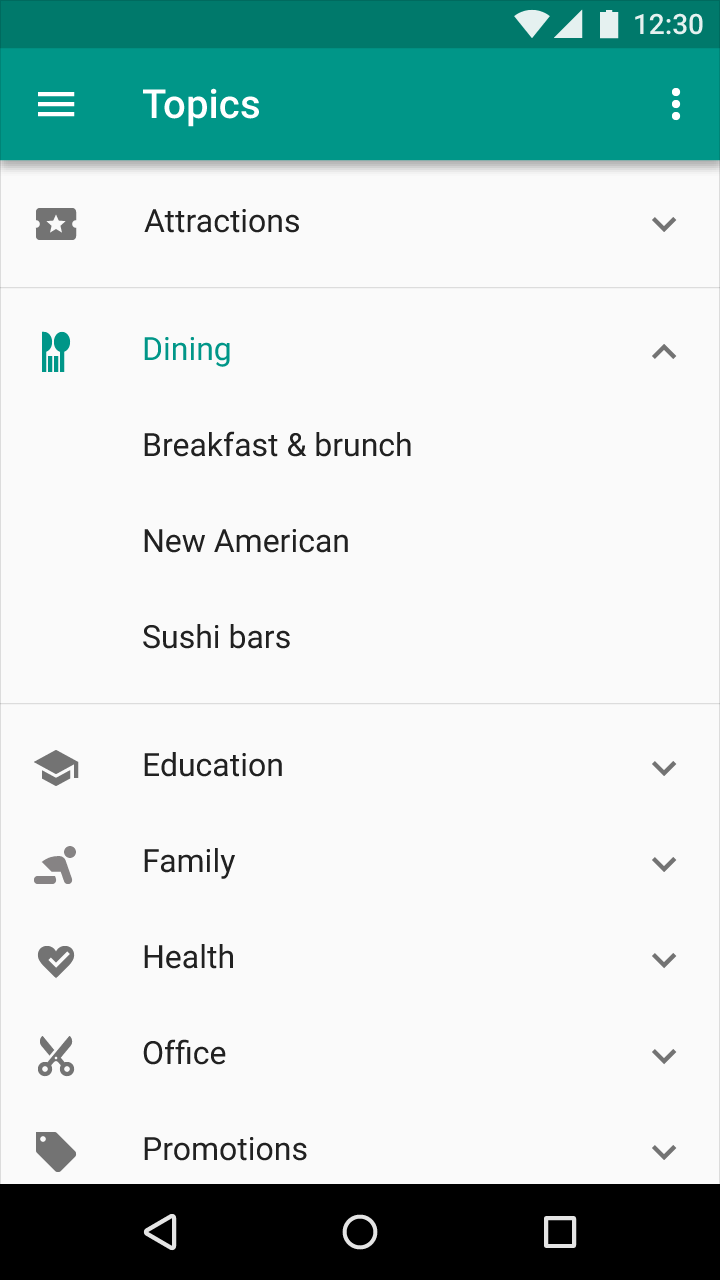 Material Design 中已展开的列表